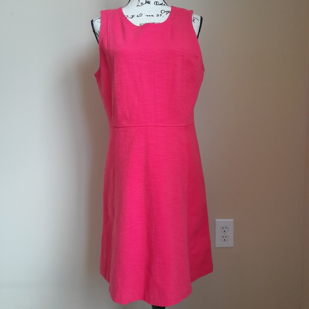 J. Crew Pink Mini Dress